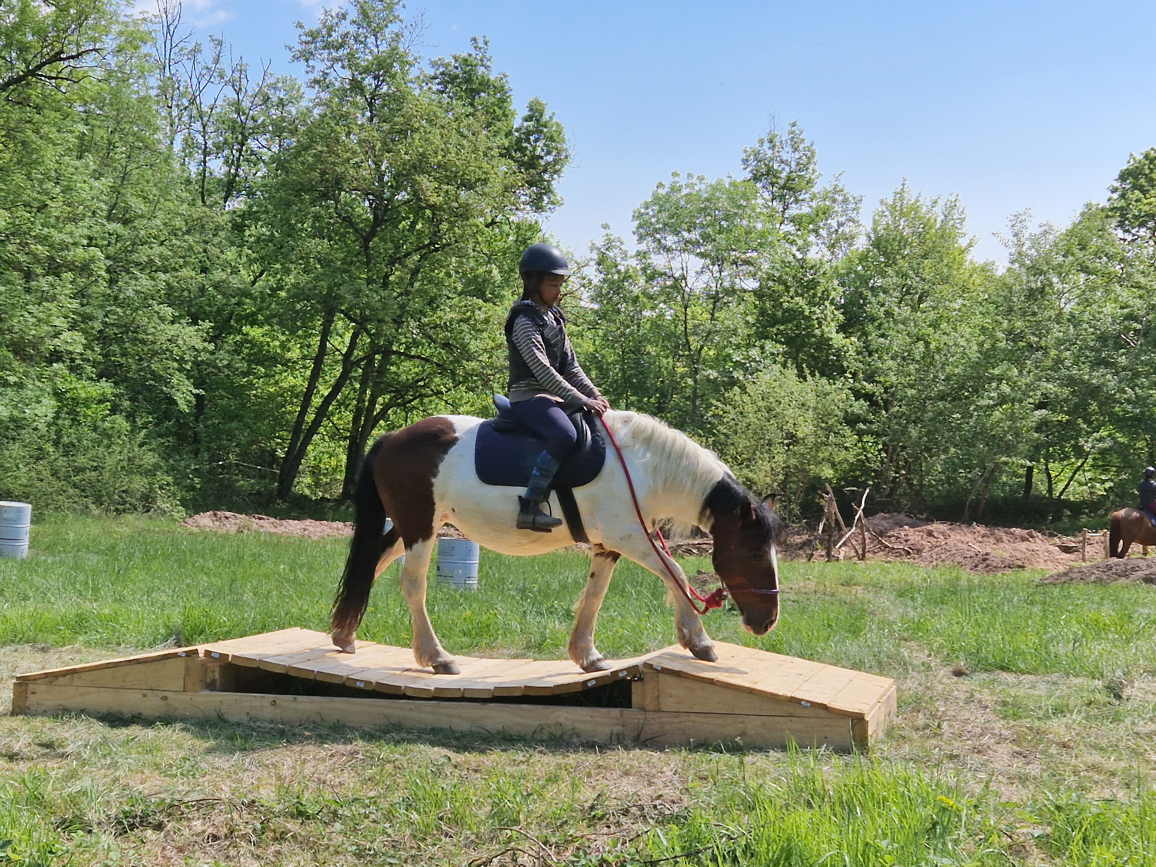 L'Écrin de Jaspe : travail du cheval en liberté à Gaillac près de Toulouse, Montauban, Albi & Cordes-sur-Ciel